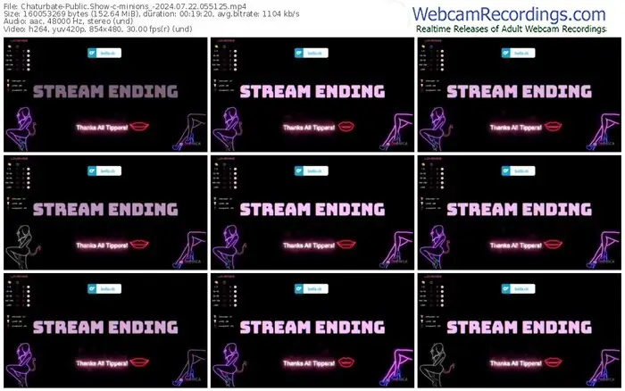 2024/07/22/chaturbate-minions_-05-51-25