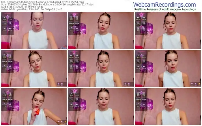 2024/07/23/chaturbate-wanna_breed-17-53-51