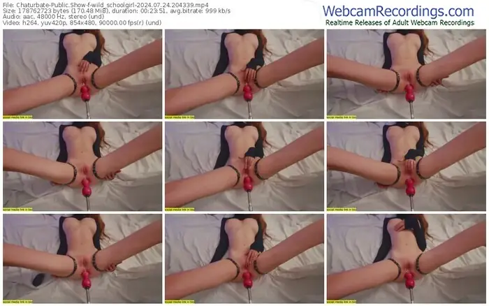2024/07/24/chaturbate-wild_schoolgirl-20-43-39
