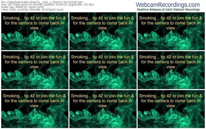 2024/07/24/chaturbate-x__rose__x-21-25-26