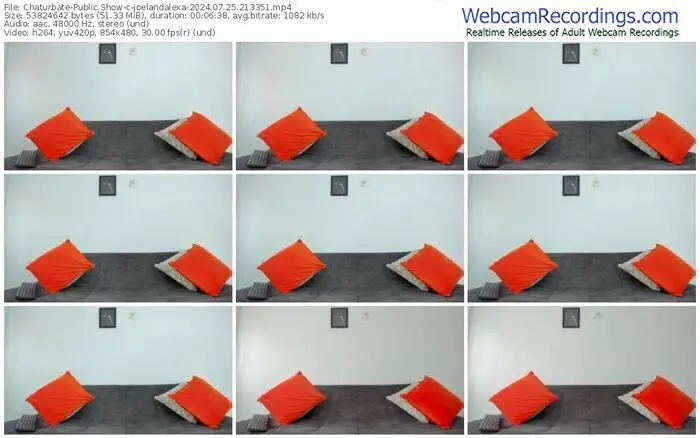 2024/07/25/chaturbate-joelandalexa-21-33-51