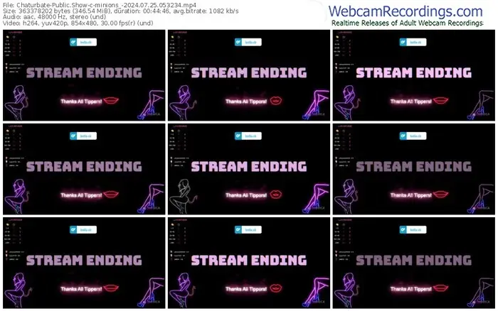 2024/07/25/chaturbate-minions_-05-32-34