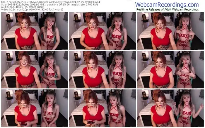 2024/07/25/chaturbate-10incheskinkynastytrans-02-10-13
