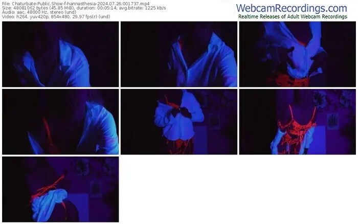 2024/07/26/chaturbate-hannasthesia-00-17-37