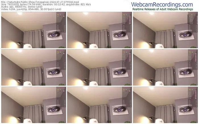 2024/07/27/chaturbate-meganiex-07-55-04