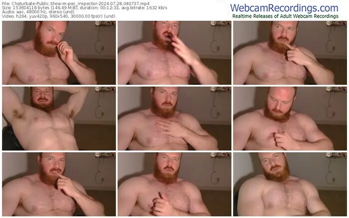 2024/07/28/chaturbate-pec_inspector-04-07-37