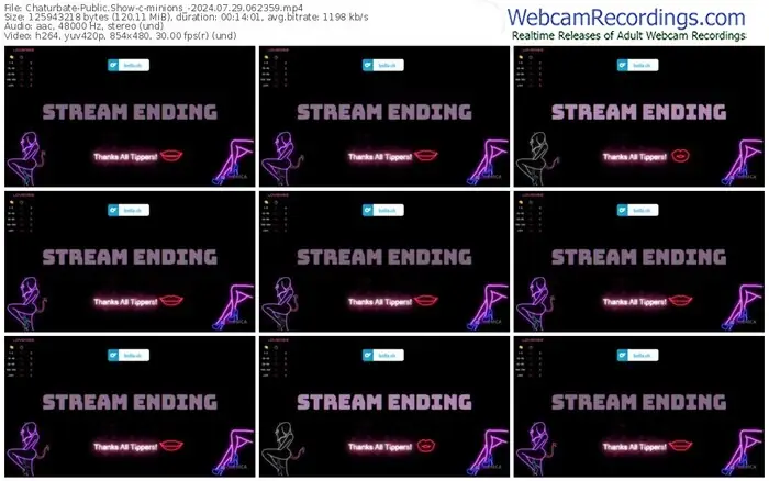 2024/07/29/chaturbate-minions_-06-23-59