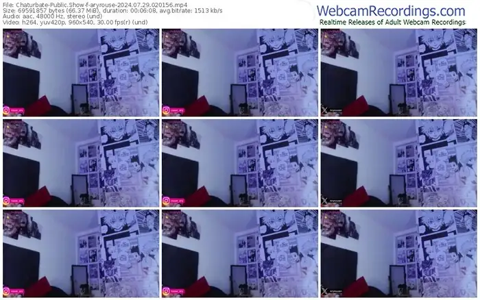 2024/07/29/chaturbate-aryrouse-02-01-56
