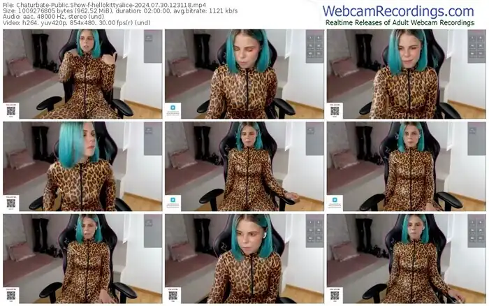 2024/07/30/chaturbate-hellokittyalice-12-31-18