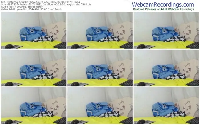 2024/07/30/chaturbate-mira_one_-09-07-51