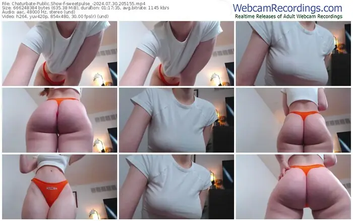 2024/07/30/chaturbate-sweetpulse_-20-51-55