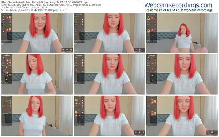2024/07/30/chaturbate-tinkerdinky-03-09-53