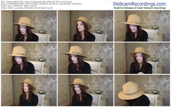 2024/07/30/chaturbate-wiloneakerley-11-01-32