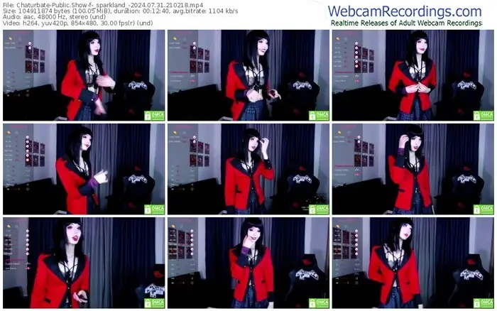 2024/07/31/chaturbate-_sparkland_-21-02-18