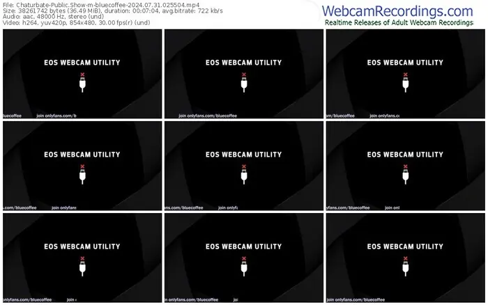 2024/07/31/chaturbate-bluecoffee-02-55-04