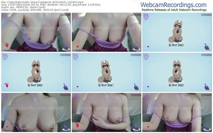 2024/08/01/chaturbate-sellapink-14-24-05