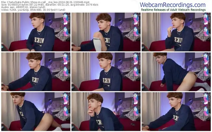 2024/08/01/chaturbate-call__me_leo-19-39-48
