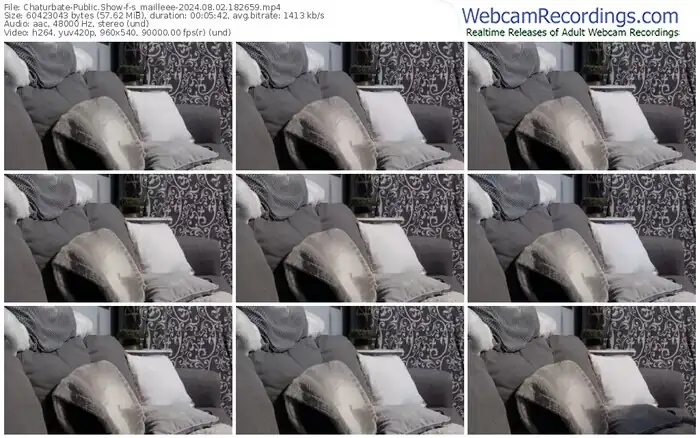2024/08/02/chaturbate-s_mailleee-18-26-59