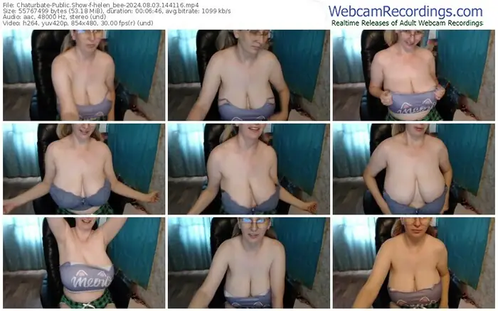 2024/08/03/chaturbate-helen_bee-14-41-16