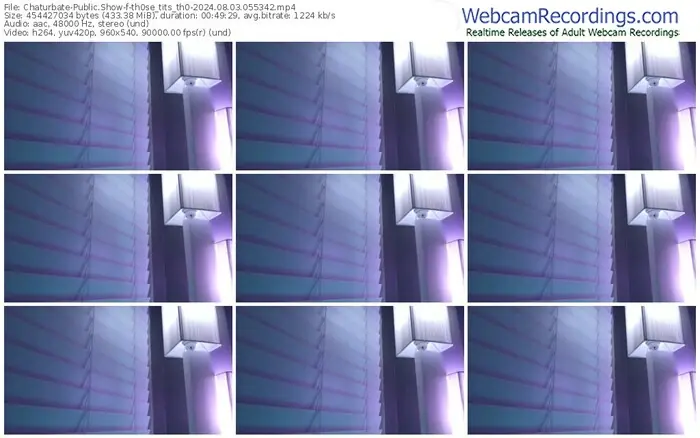 2024/08/03/chaturbate-th0se_tits_th0-05-53-42