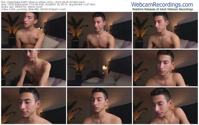 2024/08/05/chaturbate-ethan_skiny_-01-59-02