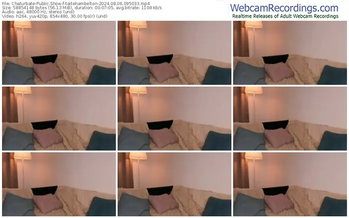 2024/08/06/chaturbate-taitehambelton-09-50-33
