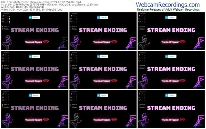 2024/08/07/chaturbate-minions_-05-48-01