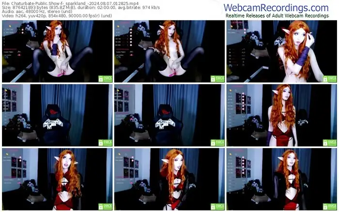 2024/08/07/chaturbate-_sparkland_-01-28-25
