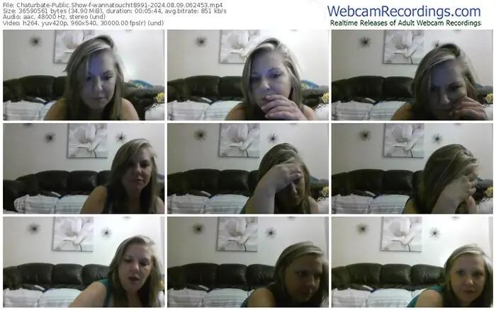 2024/08/09/chaturbate-wannatouchit8991-06-24-53