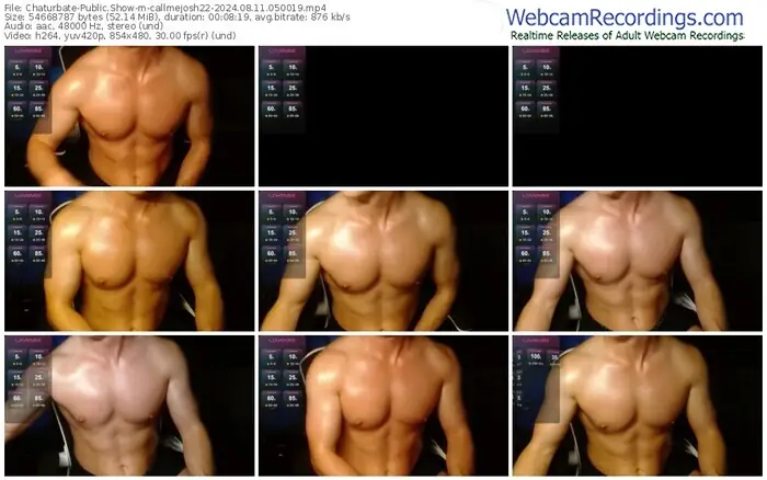 2024/08/11/chaturbate-callmejosh22-05-00-19
