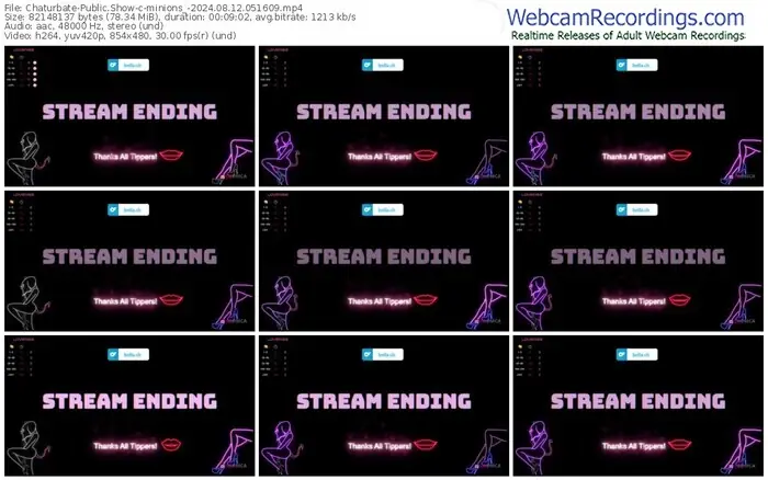 2024/08/12/chaturbate-minions_-05-16-09