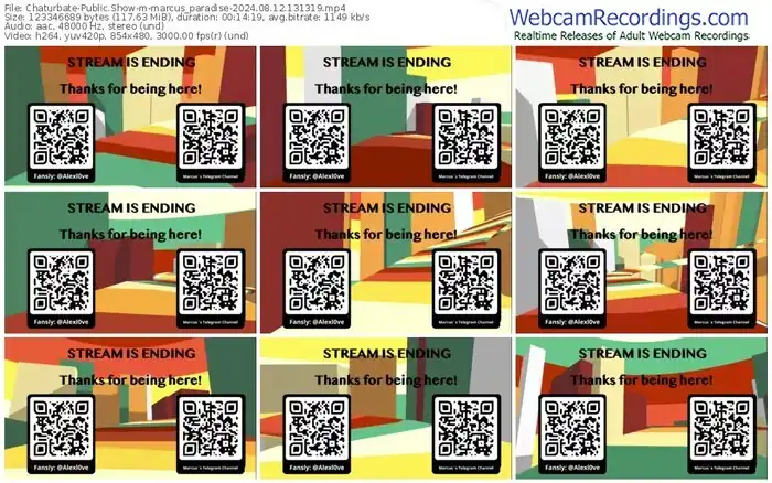 2024/08/12/chaturbate-marcus_paradise-13-13-19