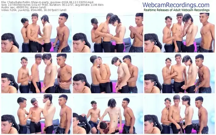 2024/08/12/chaturbate-party_guyssex-13-33-50