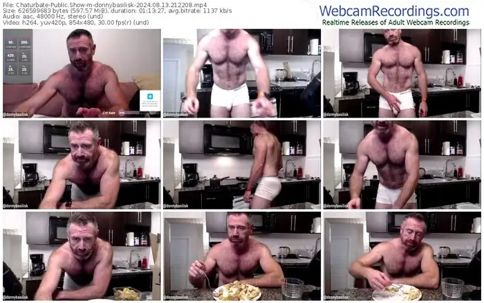 2024/08/13/chaturbate-donnybasilisk-21-22-08