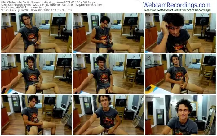 2024/08/13/chaturbate-orlando__bloom-14-00-19