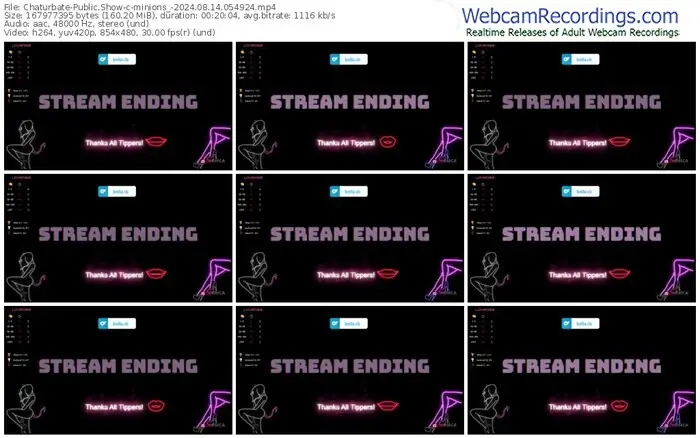 2024/08/14/chaturbate-minions_-05-49-24