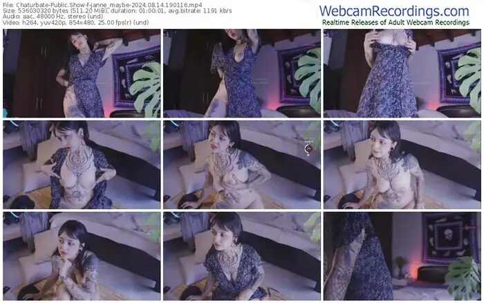 2024/08/14/chaturbate-janne_maybe-19-01-16