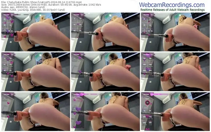 2024/08/14/chaturbate-natca35-11-47-02