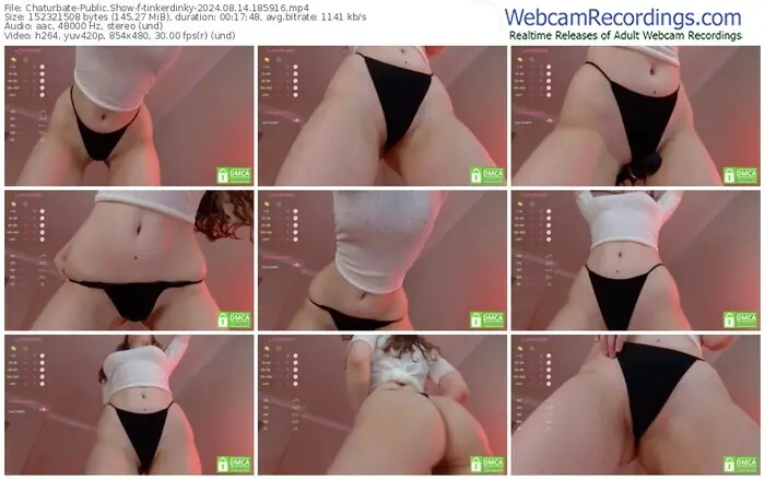 2024/08/14/chaturbate-tinkerdinky-18-59-16