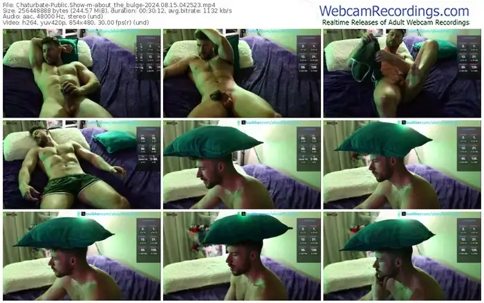 2024/08/15/chaturbate-about_the_bulge-04-25-23