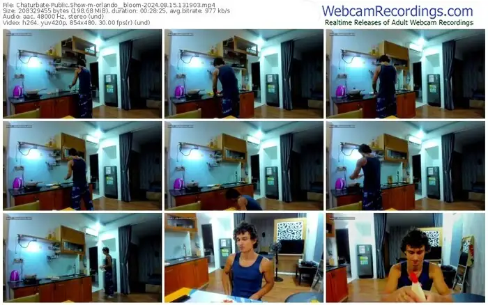 2024/08/15/chaturbate-orlando__bloom-13-19-03