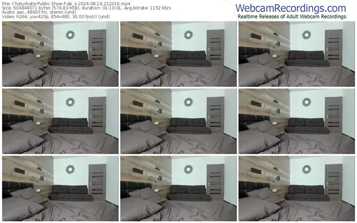 2024/08/16/chaturbate-ab_s-21-20-16