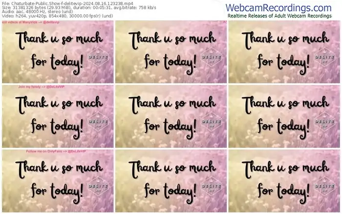 2024/08/16/chaturbate-delitevip-12-32-38