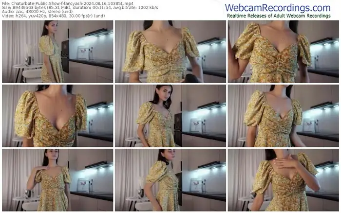 2024/08/16/chaturbate-fancyash-10-38-51