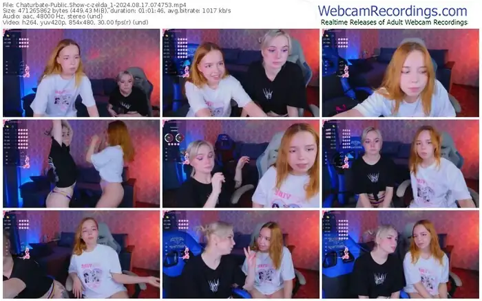 2024/08/17/chaturbate-zelda_1-07-47-53