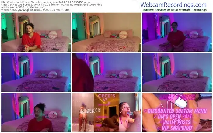 2024/08/17/chaturbate-princess_cece-09-54-56