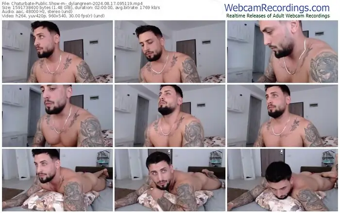 2024/08/17/chaturbate-_dylangreen-09-51-19