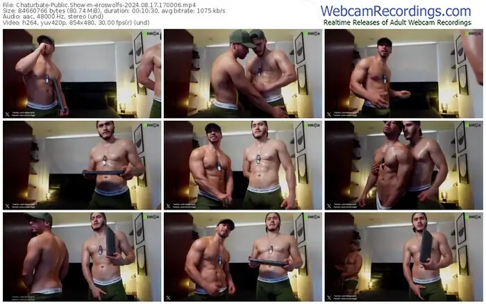 2024/08/17/chaturbate-eroswolfs-17-00-06
