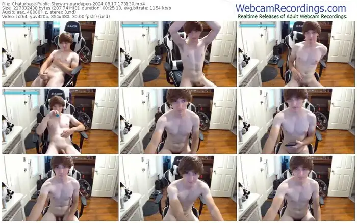 2024/08/17/chaturbate-pandapen-17-31-30