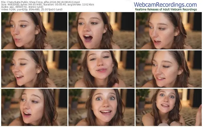 2024/08/18/chaturbate-mia_elfie-08-16-10